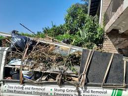 Best Appliance Removal  in Byron, GA